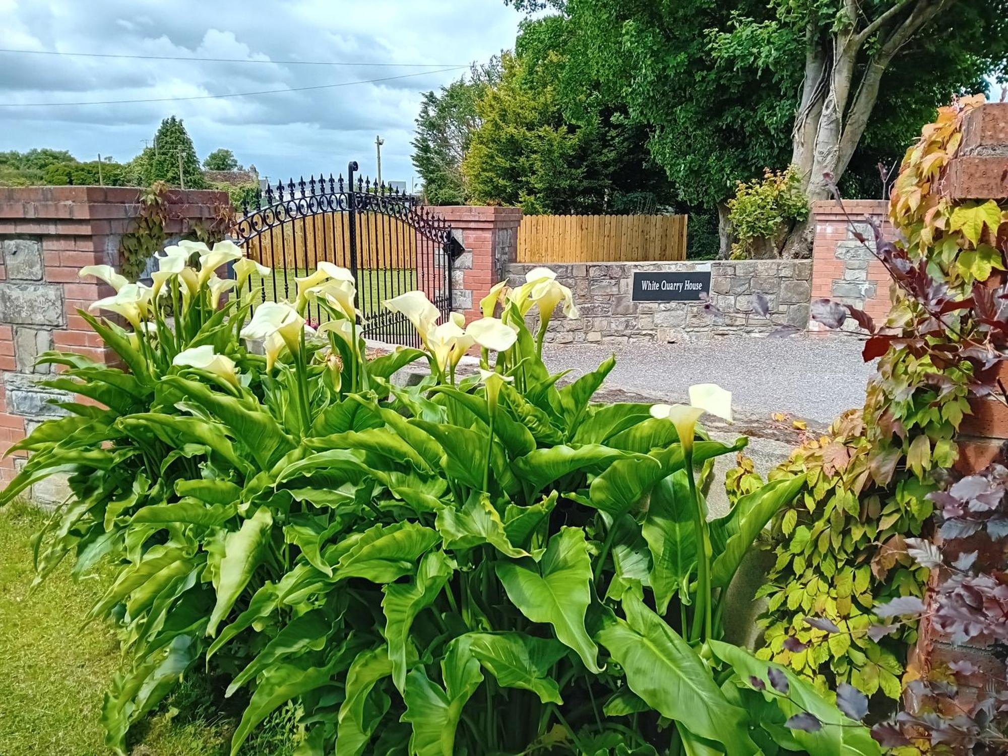 Apartament White Quarry House Navan Zewnętrze zdjęcie